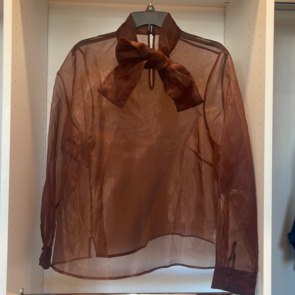 Caramel Holiday Organza Blouse w/Bow BNWT